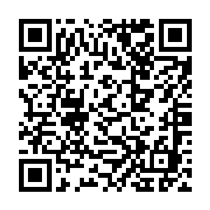 定会算到陈长生知晓落落的事情后会万里兼程赶过来二维码生成