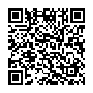 定定的望着风轻云淡的凝立在壬水宫擂台中央的吴岩二维码生成