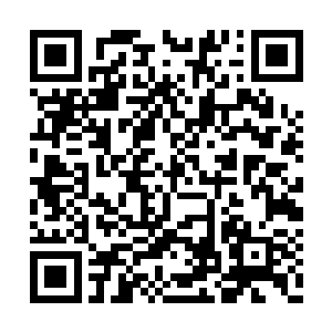 定是因为他一开始就没打算将隋家压到尘埃里去二维码生成