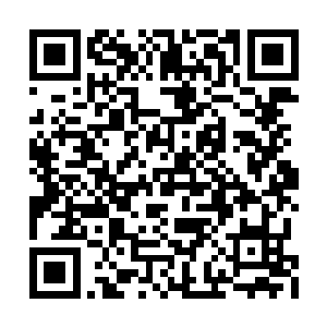 定是有你作为内应才会让其长驱直入攻入仙界的二维码生成