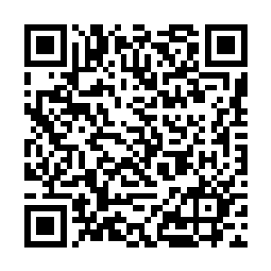 定王府世子的行踪在墨家军中自然是极为隐秘的消息二维码生成