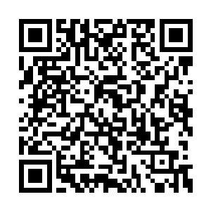 宛城市政协主管提案委的副主席一行赶到了古都二维码生成