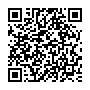 宛如见到两头黑白麒麟正酣斗着一头狻猊猛兽和一头狴犴凶兽二维码生成