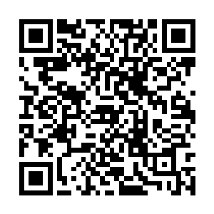 宛若一个铁塔一般的少年在院中挥舞着手中的铁棒二维码生成