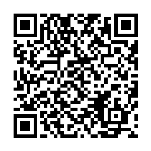 宝宝也知道怪物是想清楚这件事情所以才会和自己这么说的二维码生成