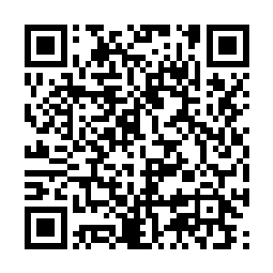 宝焰神君和建木神君两个人也再次飞到了张铁这里二维码生成