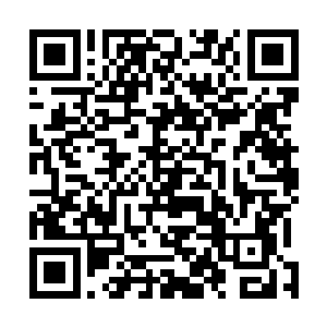 宝莲领了十几人快速搜缴各大商铺掌柜尸体上的东西……二维码生成