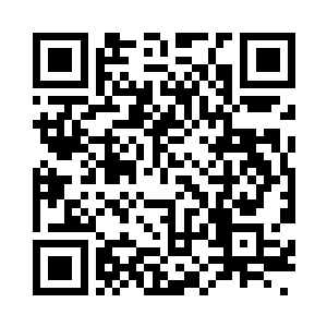 宝镜在一堆烂木板下发现了一个梳妆盒二维码生成