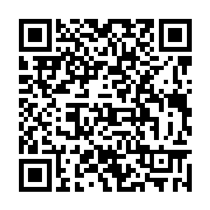 宝镜蹲下身用软毛刷子轻轻刷着一个青花瓷双耳瓶二维码生成