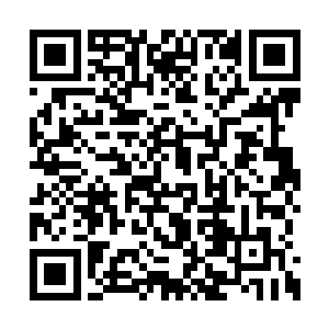 实则却还包含了我们可能遭到守护司反击的风险二维码生成