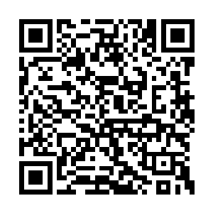 实则黑市上凡是延命的禁忌之术都来自永夜阵营二维码生成