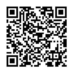 实力之强竟然连那白发老人身为极致境界都被其打下了擂台二维码生成