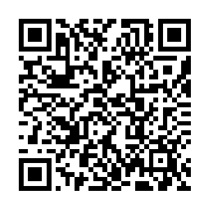 实力却从气海九重天第三重养气境初期跌了好几个级别二维码生成