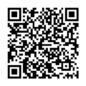 实力最强的深海一族高手除了脸上身上覆盖了许多鳞片之外二维码生成