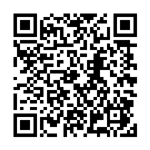 实在不想再养出一堆反社会反人类没有一点良心的小刁民二维码生成