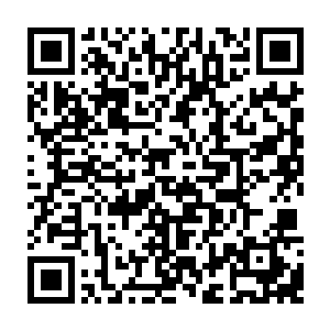 实在想不出在叶家已经没落到如此地步的时候还会有什么会引起暗卫的重视二维码生成