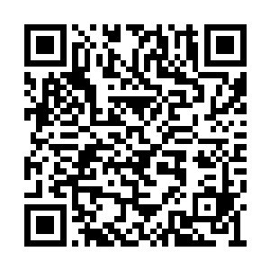 实在无法想象他这样儿的讨债鬼居然会突然开恩二维码生成