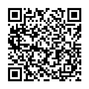 实在是因为250机甲团的机甲师以一个兵团编制来说二维码生成