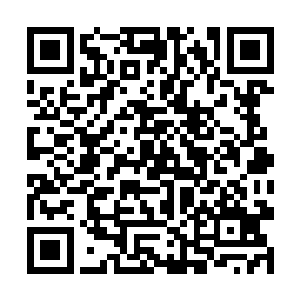 实在是当时谁也不知道什么才是修士军队的真正样子二维码生成