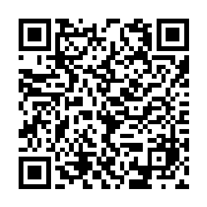 实在是想不到陆湛这样的大才子居然给陆昀取了个二维码生成