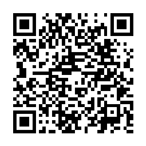 实在是李奇被当初怪九郎设计酒鬼的招数给吓到了二维码生成