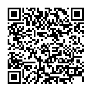 实在是没有料到仅仅只是刚到地仙境界的霍君白竟然能使出如此威力巨大的法术二维码生成