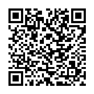 实在是苏落那一千万积分一千万积分就跟分糖果似的二维码生成