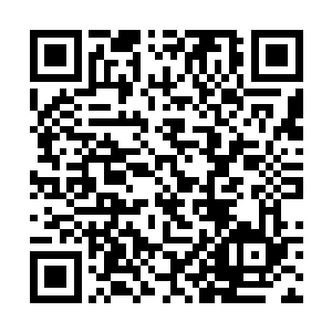 实在是那个暗桩对苟延残喘的六道大军来说太重要了二维码生成