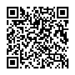 实在没想着自家儿子不声不响的给家里娶回一个宝贝疙瘩来二维码生成
