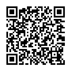 实在让人无法理解精物为什么会喜欢吃这种东西二维码生成