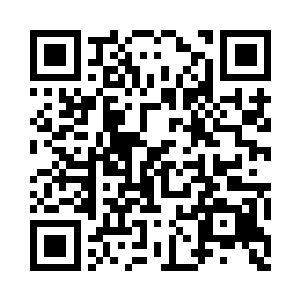 实际上也就是给杨晨购买技术授权的钱二维码生成