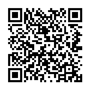 实际上从媒体们曝出了参加这场比赛的球星名单时二维码生成