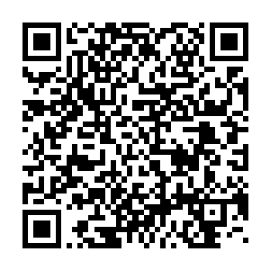实际上压根就没打算对他用酷刑的……因为秦方根本没必要那么做二维码生成