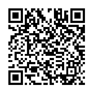 实际上就是争夺东临嫣雪九大扈从中的这最后一个名额二维码生成