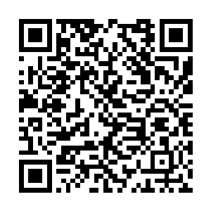 实际上杨戬几个人早就已经发现了周围的不对劲了二维码生成