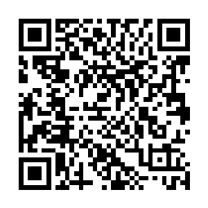 实际上红鸭的鸭嘴和一双尖勾似的爪子也都是炼器的好材料二维码生成