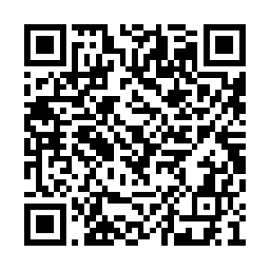 实际上许紫烟也不清楚究竟是杀气主动融入灵根二维码生成