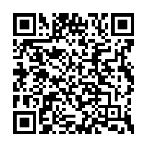 实际上这些变化不过是阿达罗柯自己臆想出来的二维码生成