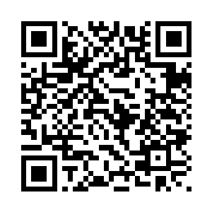 实验体体内的癌细胞已大规模扩散二维码生成