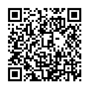 实验模拟中……体力药剂配置……预计消耗时间二维码生成