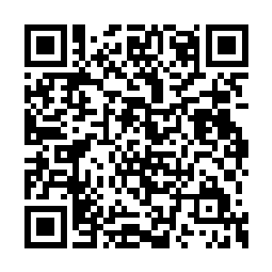 客厅里面的被砸得有些晕乎乎的林母也反应过来二维码生成
