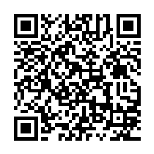 宣抚使刀怕文兵败北逃云昌府……莽应龙一时间甚嚣尘上二维码生成