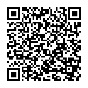 宫雨菲也知道一旦被扣上以下犯上的帽子等于是被苗毅找到了下手的借口二维码生成