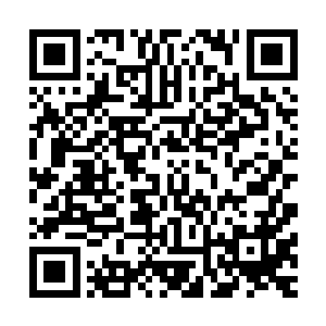 宴会厅一头临时布置出来的小讲台就被各种灯光照得纤毫毕现二维码生成