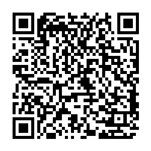 宴维冷冷的看着王瑶芸……王瑶芸在这个世界上最恨的是苏小爱和君无妄二维码生成