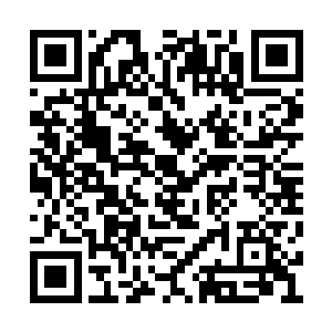 宴西比昨天约定的时间提前了半个小时来接海丝二维码生成