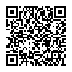 家人内斗等元素对琼恩来说还是很具有吸引力的二维码生成