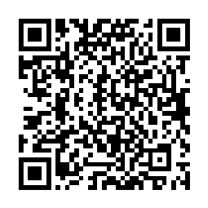 家国天下内有无数淡金色的枯朽之力在相互纠缠成长二维码生成