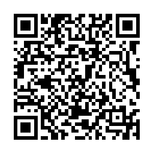 家将们立刻就在城门口用青色的布幔围了一块空地二维码生成