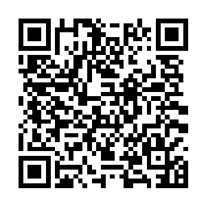 家族长老会之所以要让潜龙堂的家族学员参与进来二维码生成